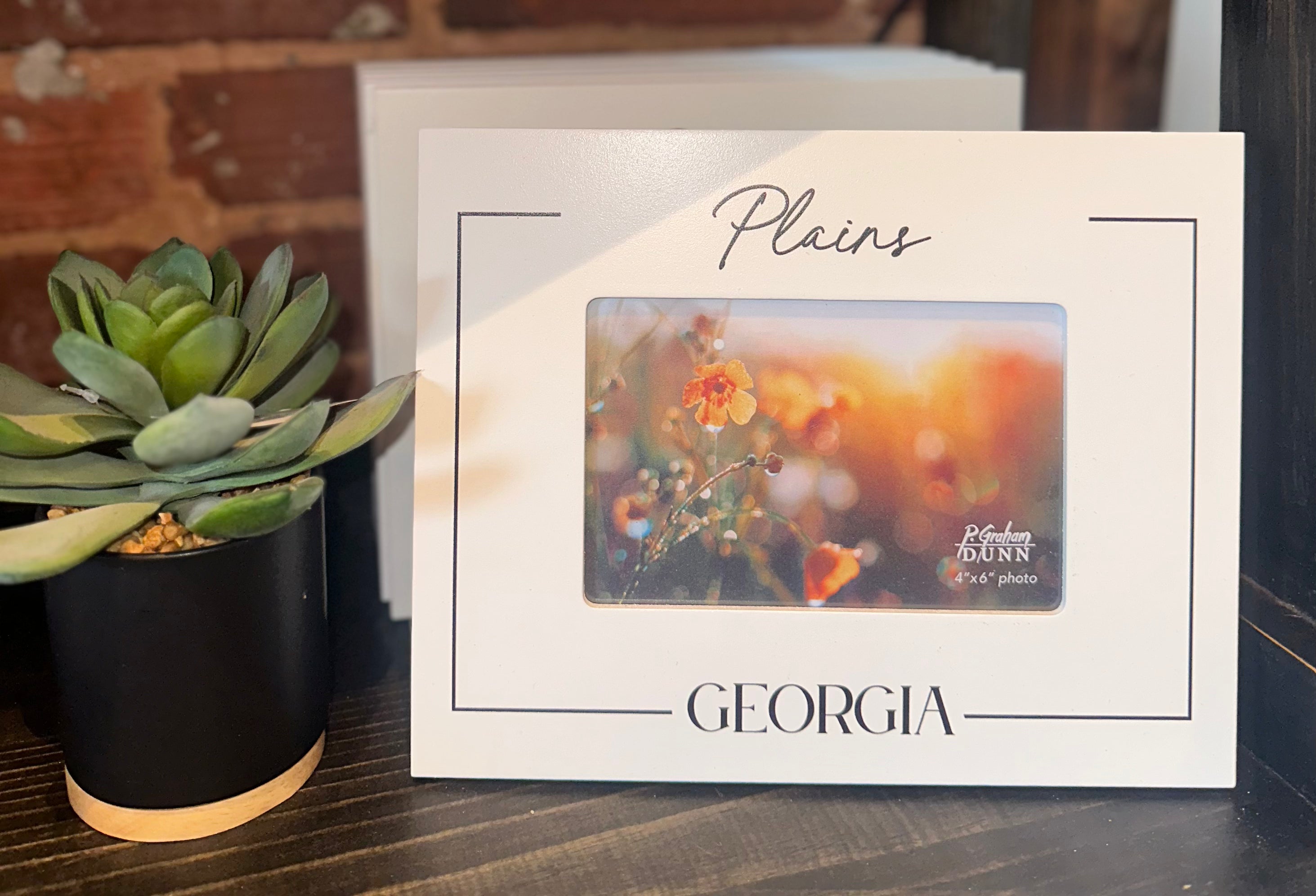 Plains, GA Picture Frames