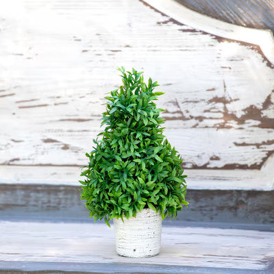 Park Hill Small Cone Topiary