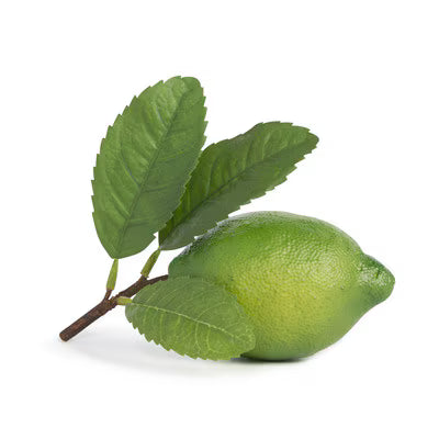 Park Hill Lime With Leaf