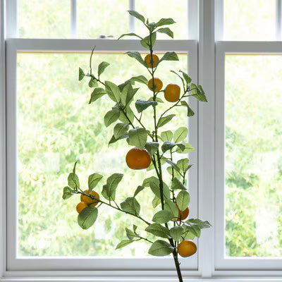 Park Hill Tangerine Branches