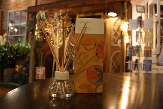 Illume Santal Birch Diffuser