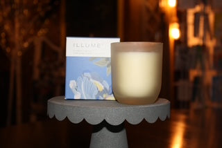 Illume Citrus Crush Candle