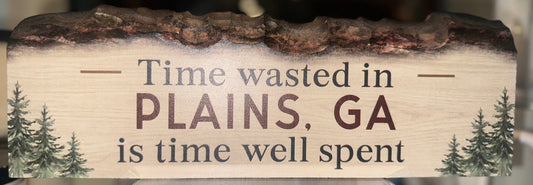 Time Wasted in Plains, Ga Sign