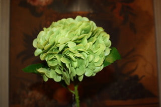 Ga1636 Green Hydrangea Spray