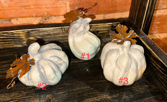 Small Two Tone Gray Pumpkins