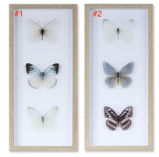 Butterfly Print Wall Art